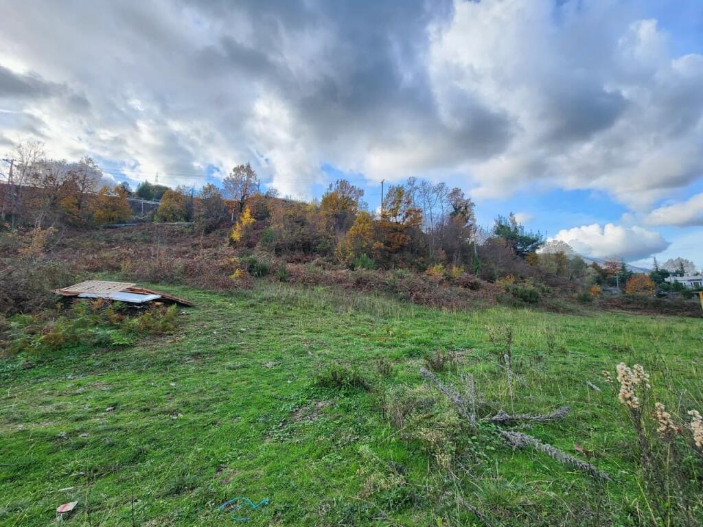 🌍 SHITET: Tokë Arë 604 m² Brenda në Fshat me Pamje nga Pylli &amp; Lumi📍Në Fshatin IBË  39.200€ 🏕