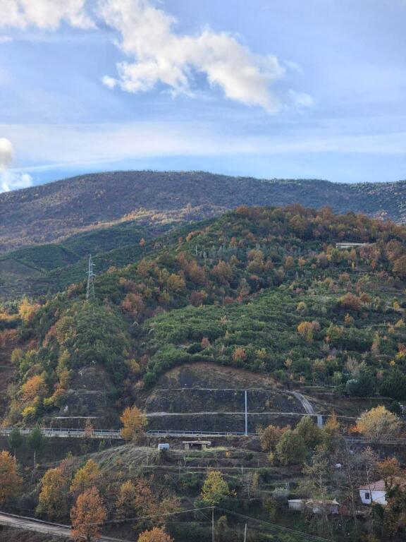 SHITET: Tokë Arë 5000 m² Me Pamje nga Autostrada Tiranë Elbasan📍Në Fshatin IBË  250,000€ 🏕