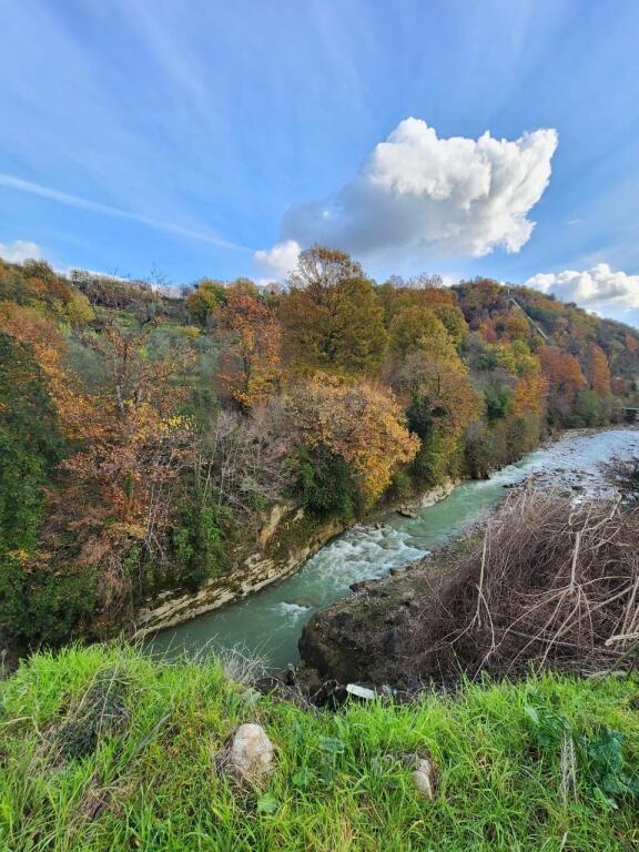 🌍 SHITET: Tokë Arë 604 m² Brenda në Fshat me Pamje nga Pylli &amp; Lumi📍Në Fshatin IBË  39.200€ 🏕