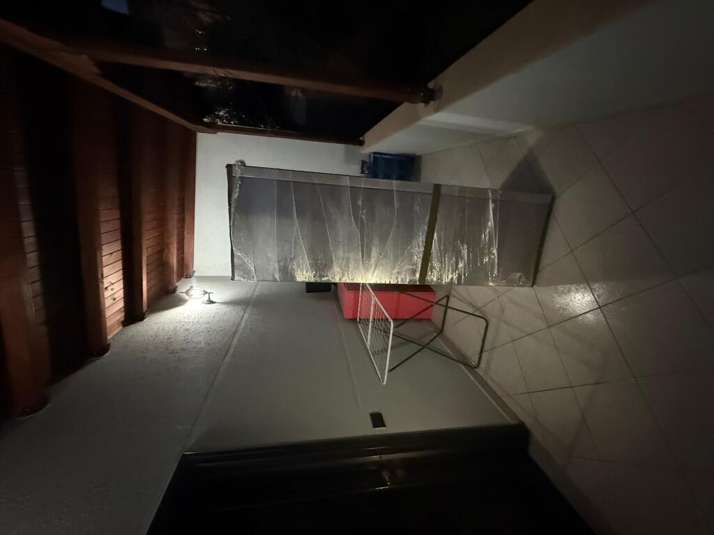 Siri kodra, shtepi me qera 1+1,  40,000 leke