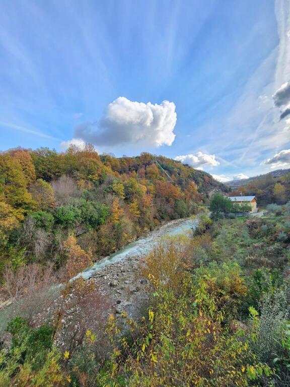 🌍 SHITET: Tokë Arë 604 m² Brenda në Fshat me Pamje nga Pylli &amp; Lumi📍Në Fshatin IBË  39.200€ 🏕