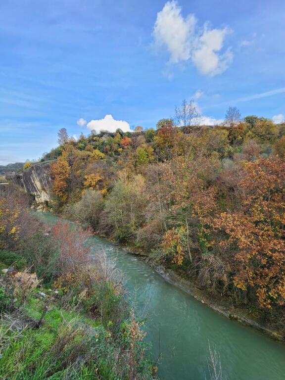 🌍 SHITET: Tokë Arë 604 m² Brenda në Fshat me Pamje nga Pylli &amp; Lumi📍Në Fshatin IBË  39.200€ 🏕