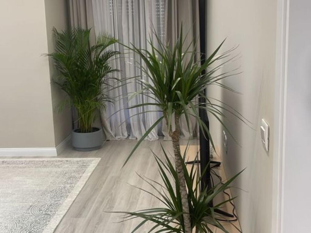 Apartment 1+1 for Rent📍Kodra e Diellit 2