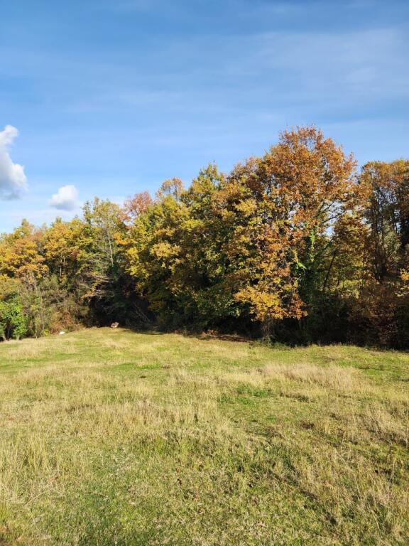 🌍 SHITET: Tokë Arë  1570 m² Brenda në Fshat me Pamje nga Pylli📍Në Fshatin IBË  102,000€ 🏕