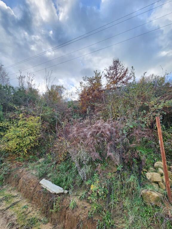 🌍 SHITET: Tokë Arë 604 m² Brenda në Fshat me Pamje nga Pylli &amp; Lumi📍Në Fshatin IBË  39.200€ 🏕