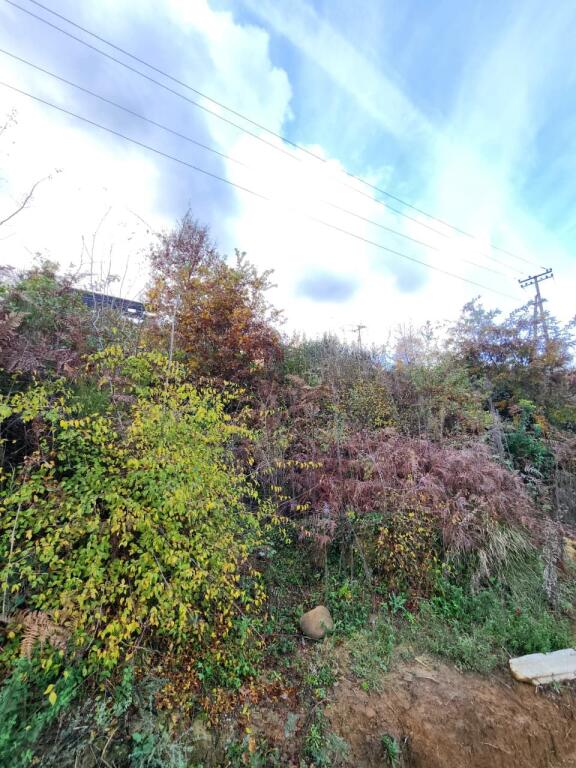 🌍 SHITET: Tokë Arë 604 m² Brenda në Fshat me Pamje nga Pylli &amp; Lumi📍Në Fshatin IBË  39.200€ 🏕