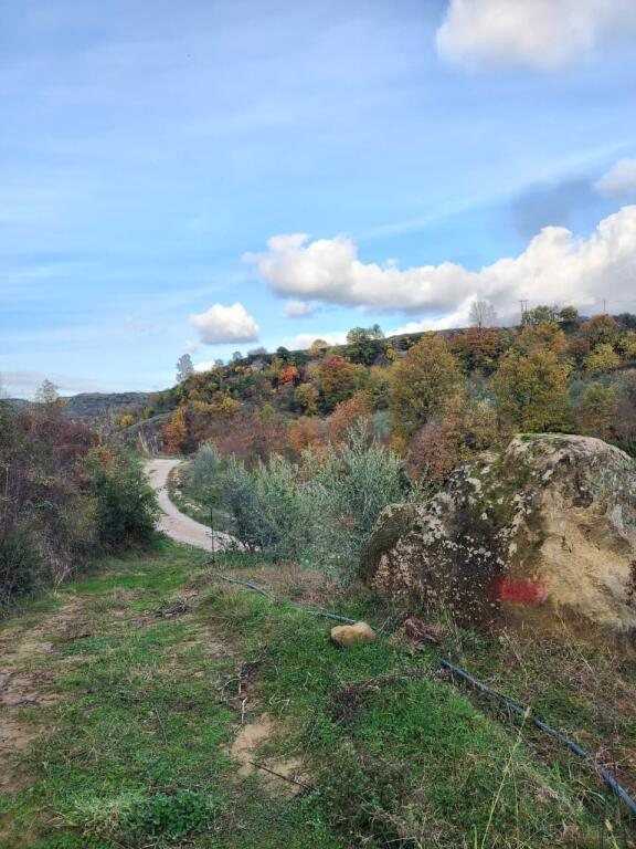 🌍 SHITET: Tokë Arë 604 m² Brenda në Fshat me Pamje nga Pylli &amp; Lumi📍Në Fshatin IBË  39.200€ 🏕