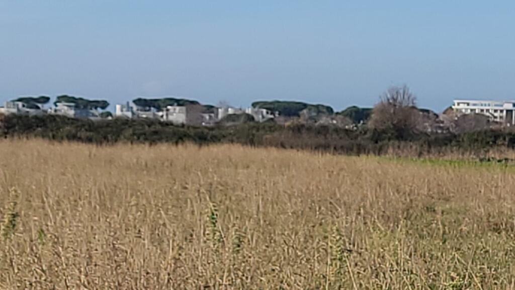 Shitet  toke me dokumenta  te rregullta  Gjiri Lalzit  