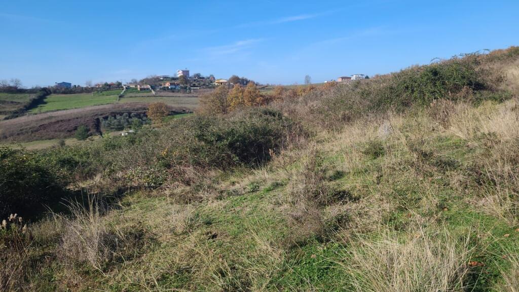 Shitet  toke me dokumenta  Gjiri Lalzit  