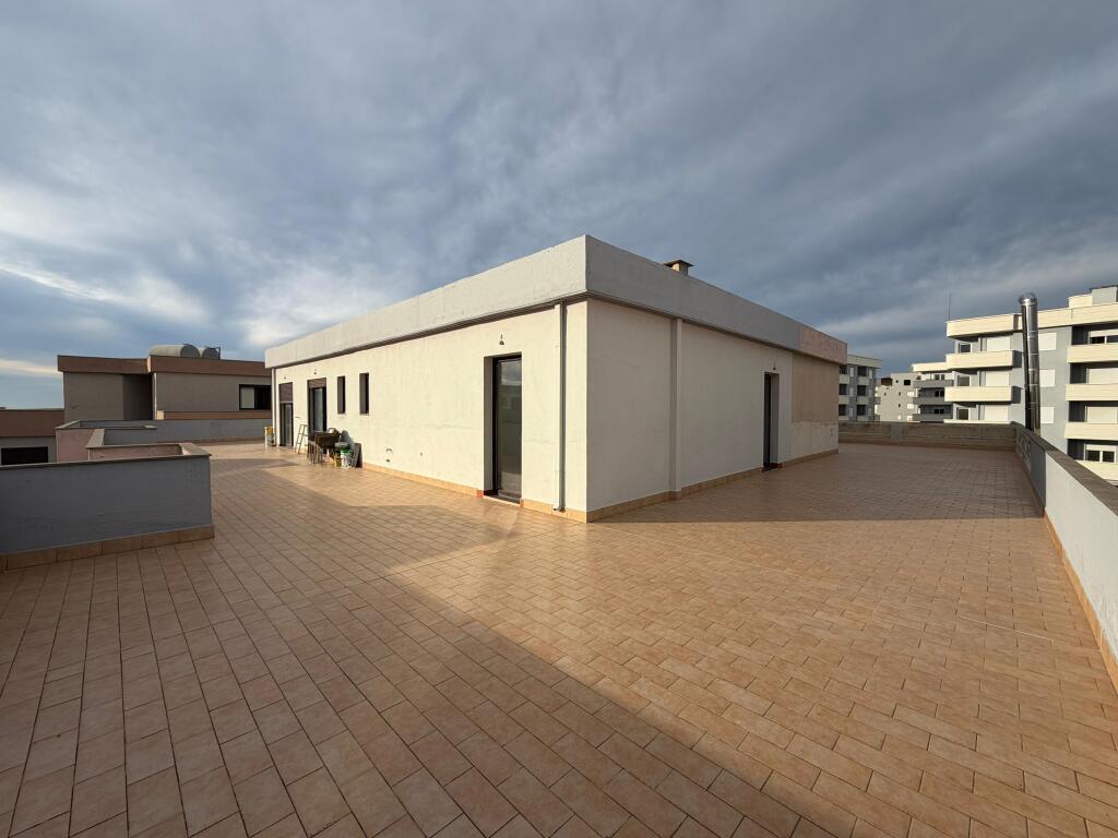 Papafingo ekskluzive Ne Shitje