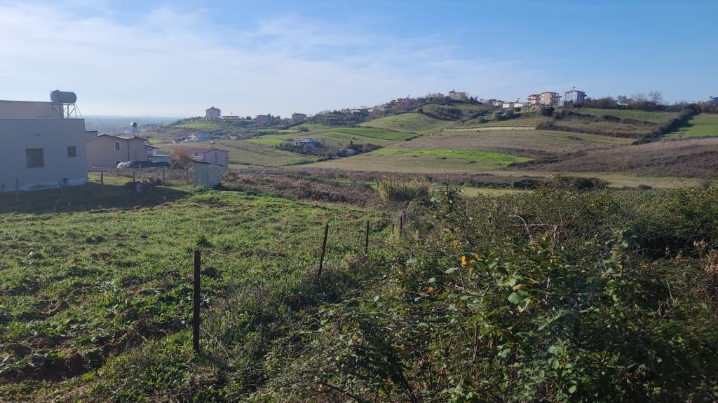 Shitet  toke me dokumenta  Gjiri Lalzit  