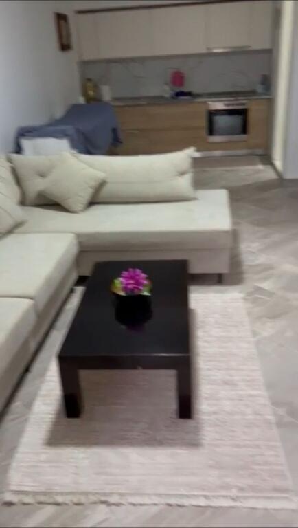 1+1 apartment for sale in Shengjin