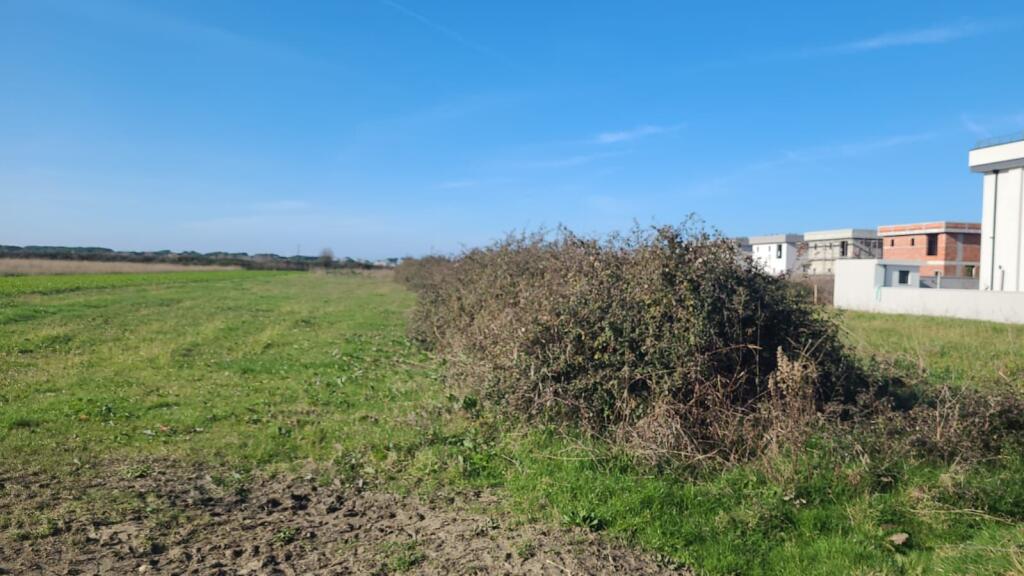 Shitet  toke me dokumenta  te rregullta  Gjiri Lalzit  