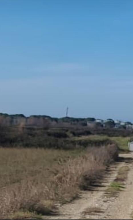 Shitet toke me dokumenta  15600 m2 Gjiri Lalzit