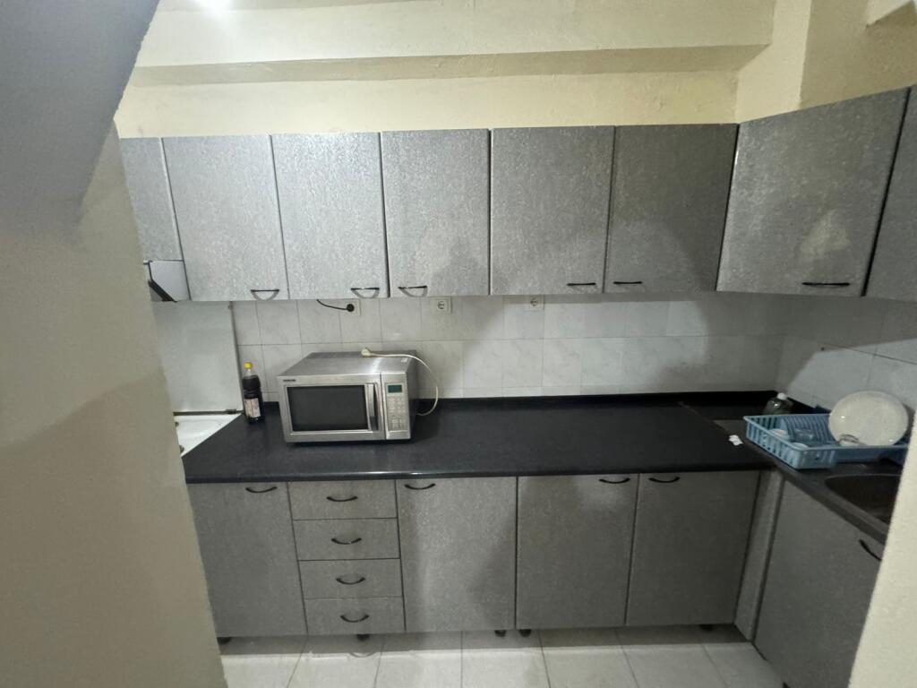 Apartment 1+1 for rent