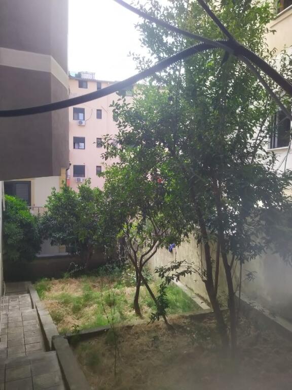 Shitet vile 3 kateshe ne Selite