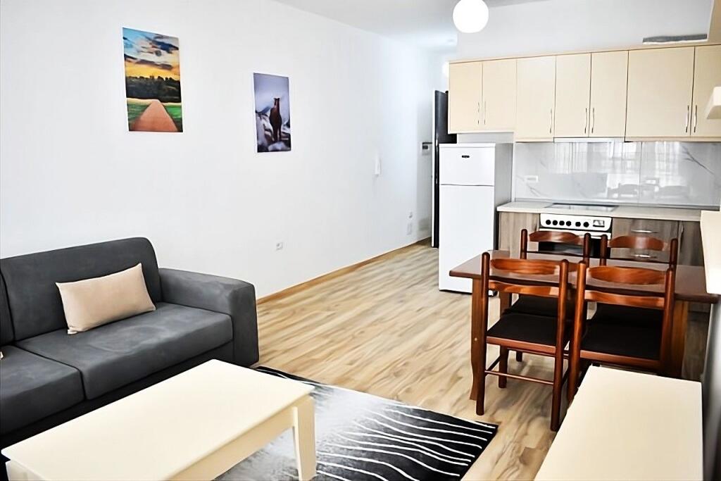 Apartment For Rent 1+1 At Dritan Hoxha (ID B2101409) Tirane