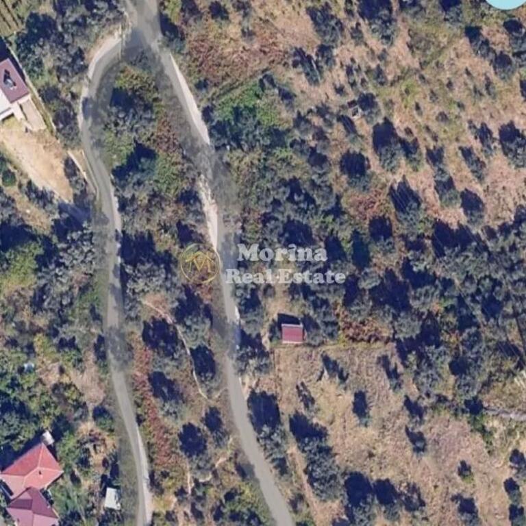 Shitje | Tokë / Truall | Linzë | 70000 €