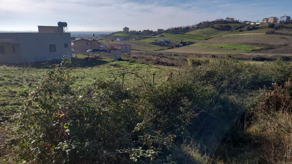 Shitet  toke me dokumenta  Gjiri Lalzit  