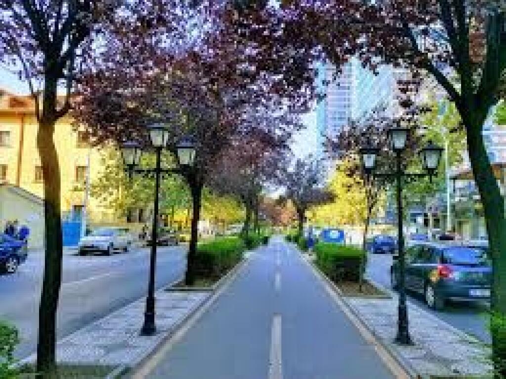 🏡 Apartment 1+1 for Sale – Kavaja Street (near Square 21)