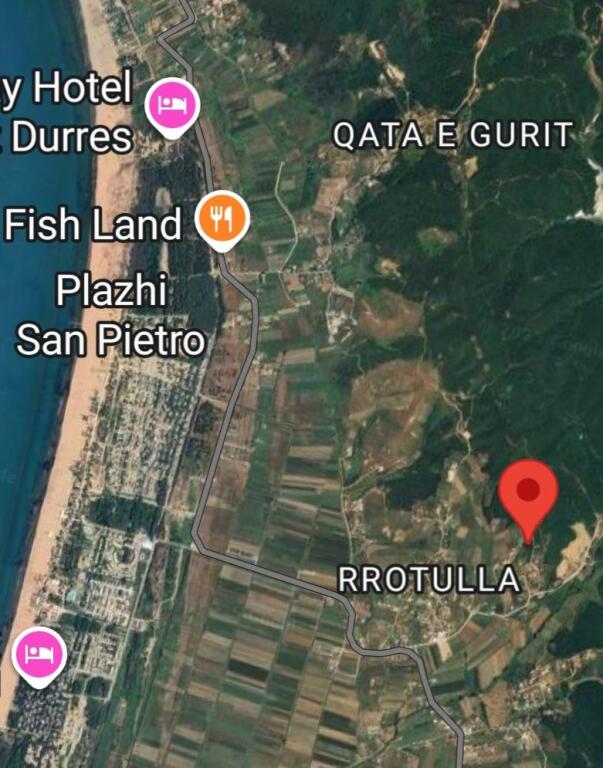 Shitet  toke me dokumenta  Gjiri Lalzit  