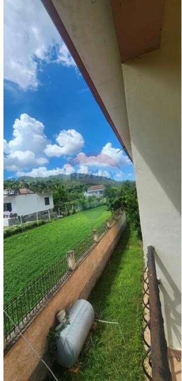 Vile ne shitje, Peze Helmas