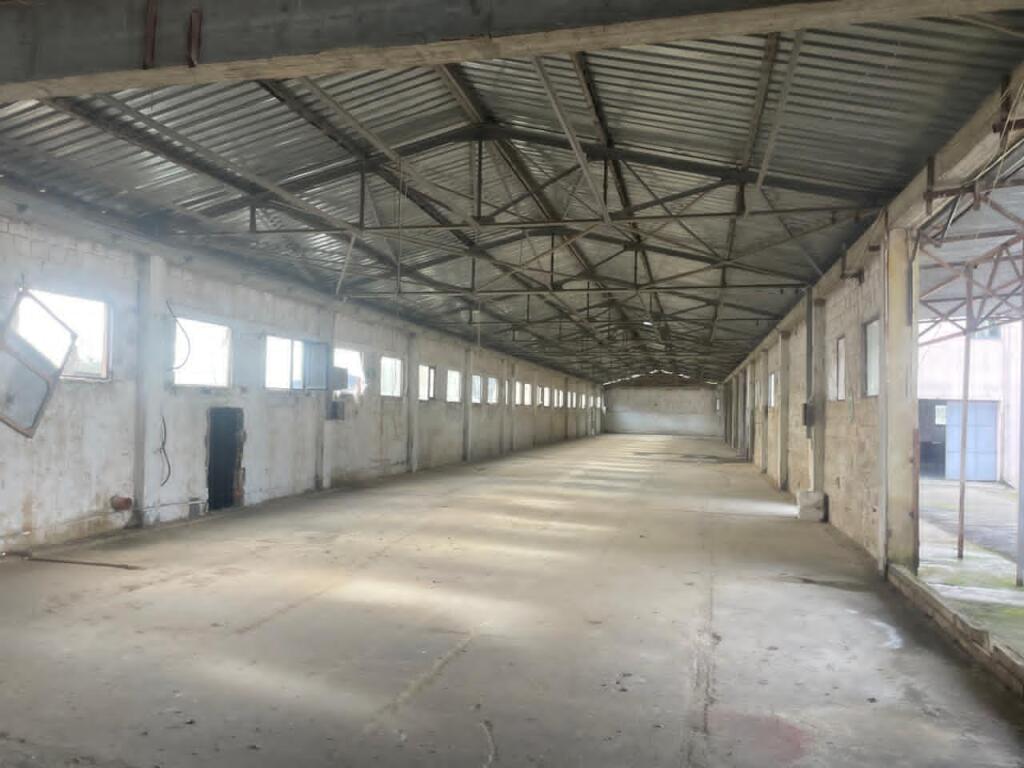 Warehouse/Depot - For Rent - Arbanë, Tirana