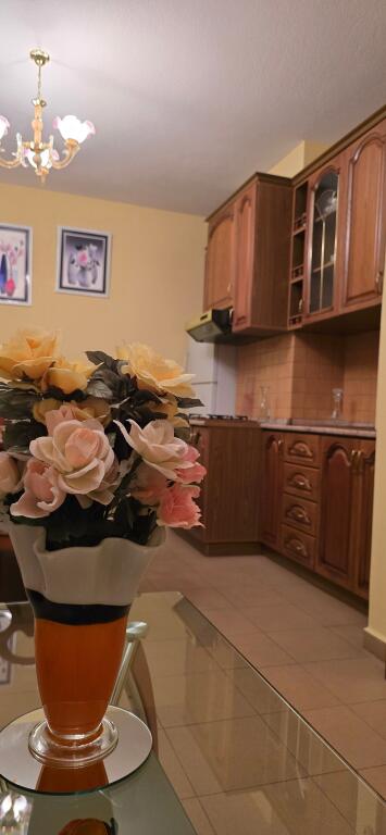 APARTMENT 2+1, ELBASANIT STREET