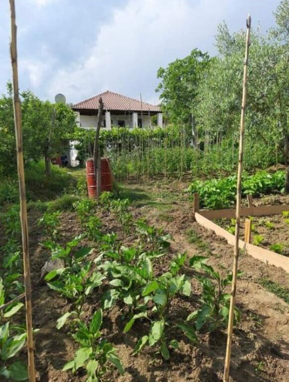 SHITET SHTEPI PRIVATE + TOKE NE SHTISH TUFINE