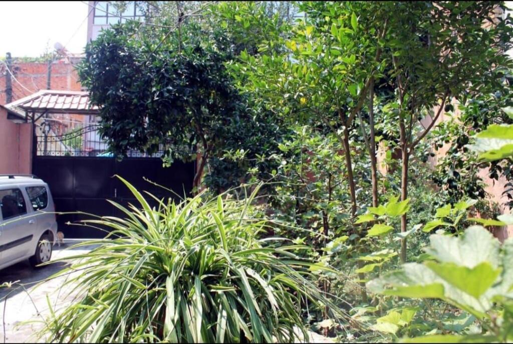 🏡 Garzoniere 30m² me Qira ne fillim te Rruges se Dibres!