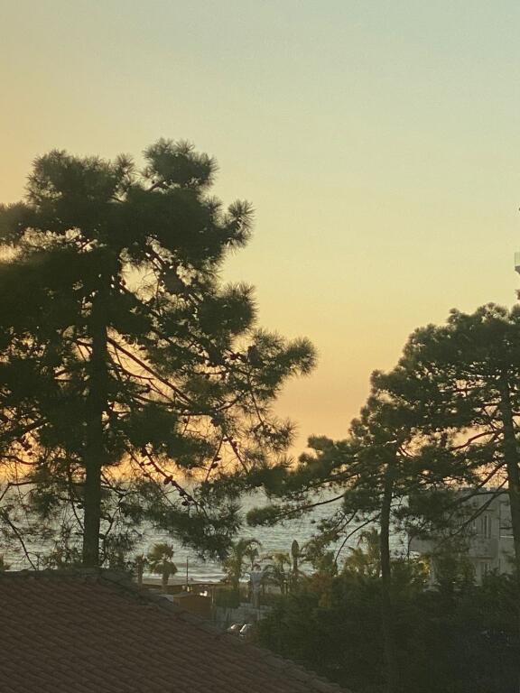 Shitet Apartament 1+1 ne golem