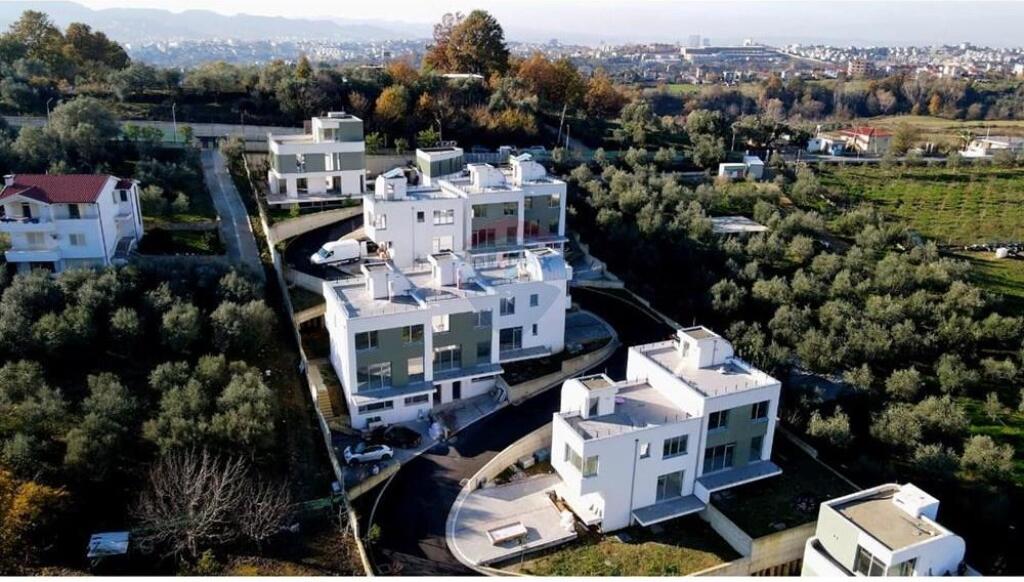 VILE NE SHITJE NE FARKE!