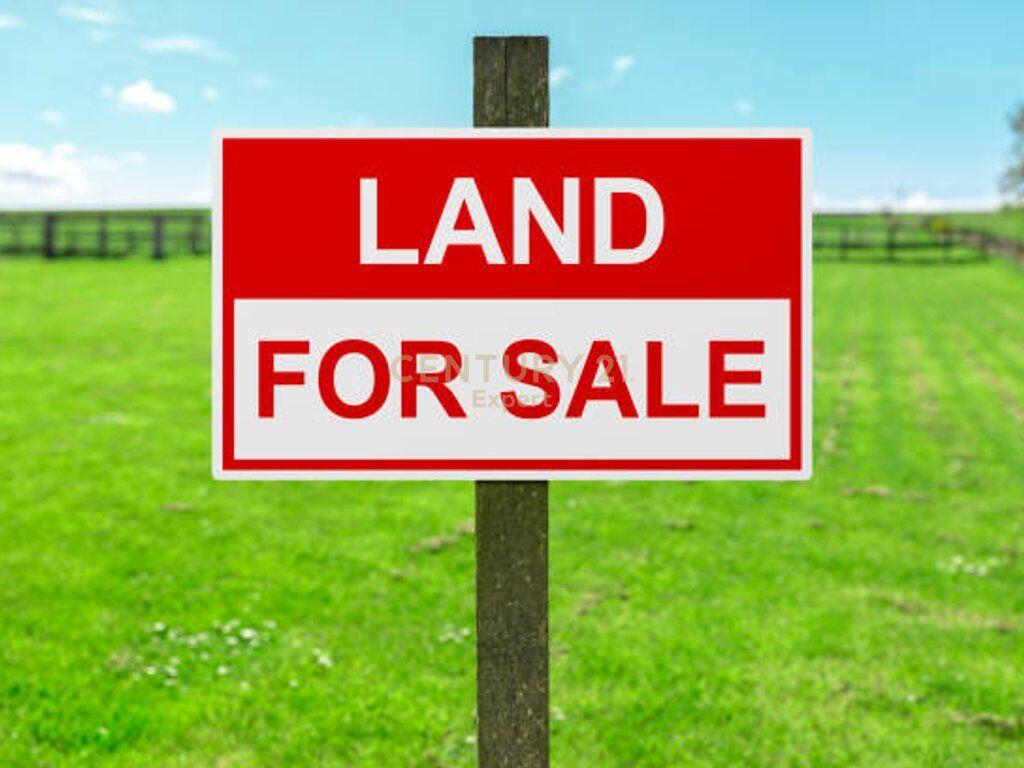 SHESIM TOKE NE VILE BALLAJ-KAVAJE!