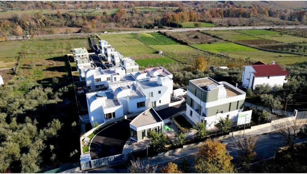 VILE NE SHITJE NE FARKE!