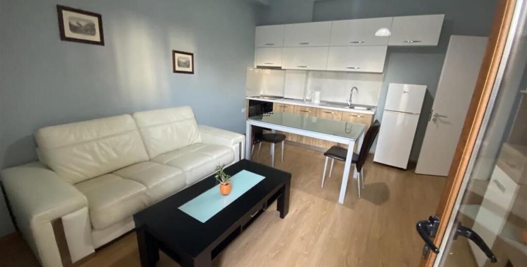 APARTMENT FOR RENT 1+1 ALI DEMI 45,000 LEKE