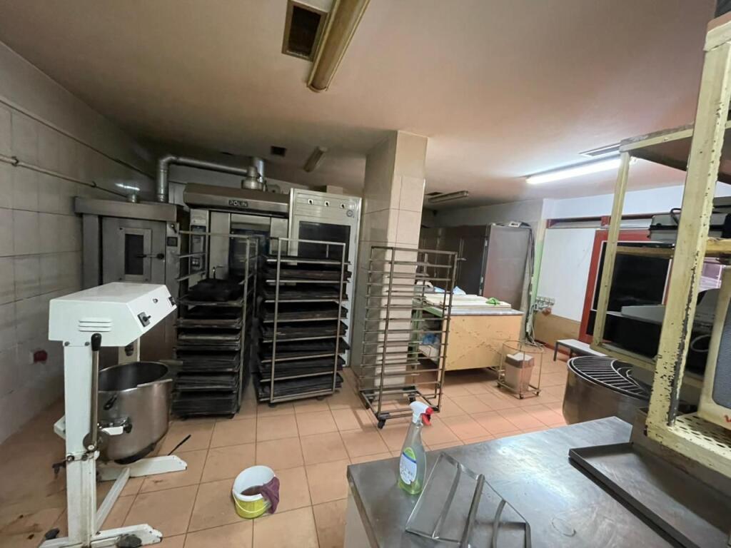 Ambiente commerciale in affitto – Zoo