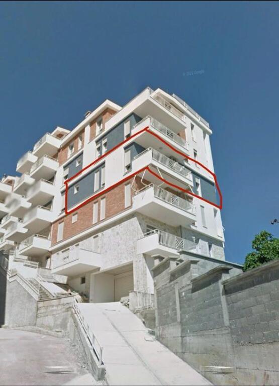 Shes 3+1 liqeni i Tiranes kopshti Zoologjik pamje ballore