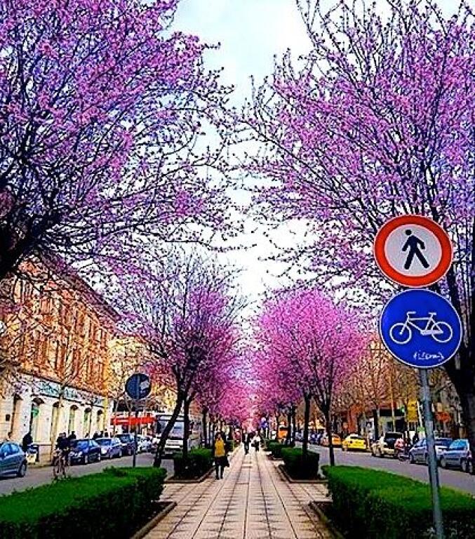 Premises for Rent in the Center