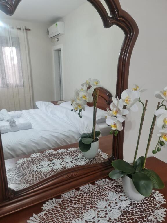 Appartamento in affitto Piazza Skenderbej