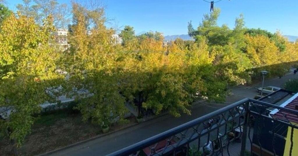 Apartment 2+1 for rent in Kombinat