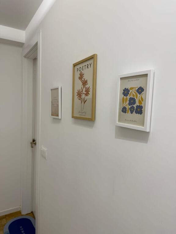 Appartamento 1+1, 21 Dicembre!