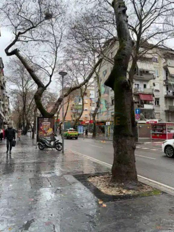 Qera, Ambient Komercial, Myslym Shyri.