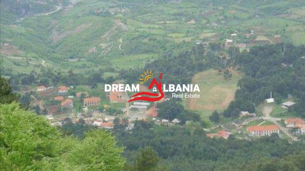 Shitet Truall ne Qender te Pikes Turistike GJINAR, Elbasan ID(4191045)