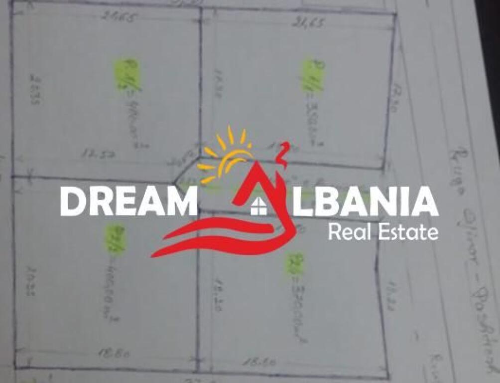 Shitet Truall ne Qender te Pikes Turistike GJINAR, Elbasan ID(4191045)