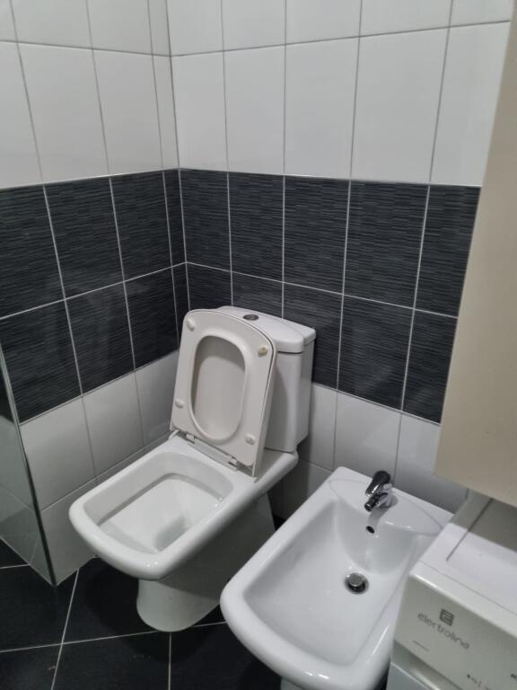 Apartment 2+1, Ali Dem!