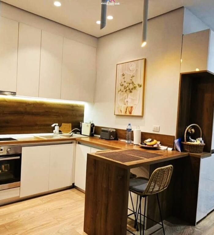 Appartamento In Affitto 1+1 Vicino Al Giardino Botanico (ID B2101422) Tirana