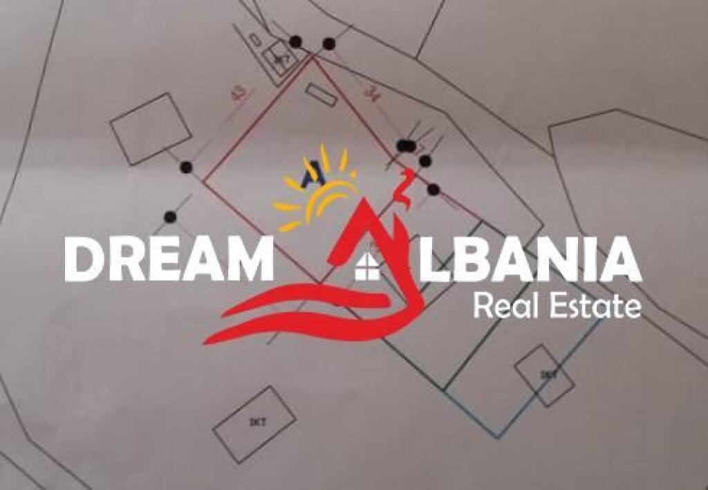 Shitet Truall ne Qender te Pikes Turistike GJINAR, Elbasan ID(4191045)