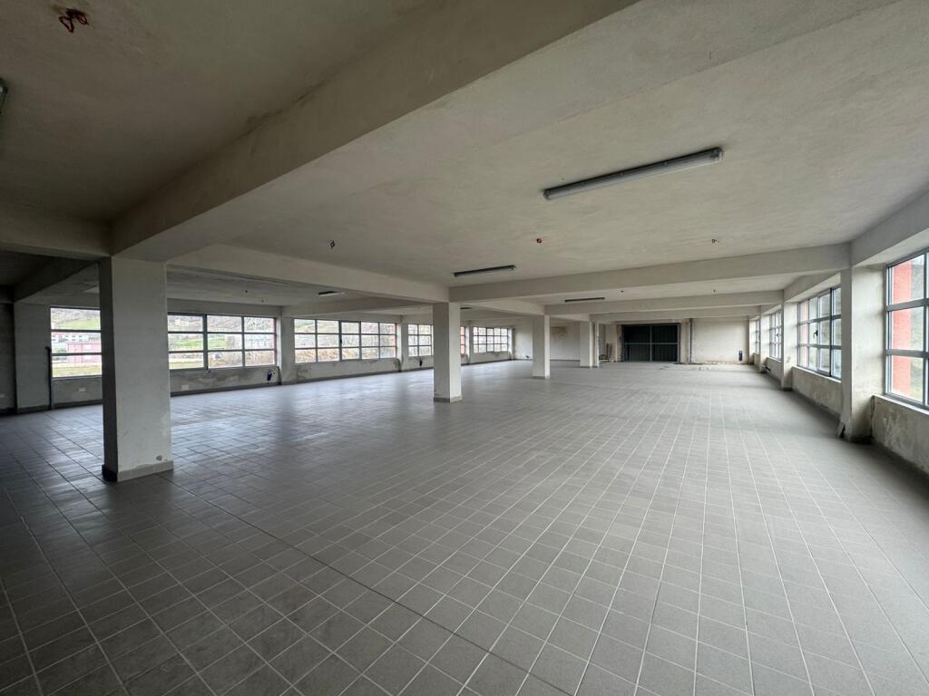 Magazine me qera, Prush!