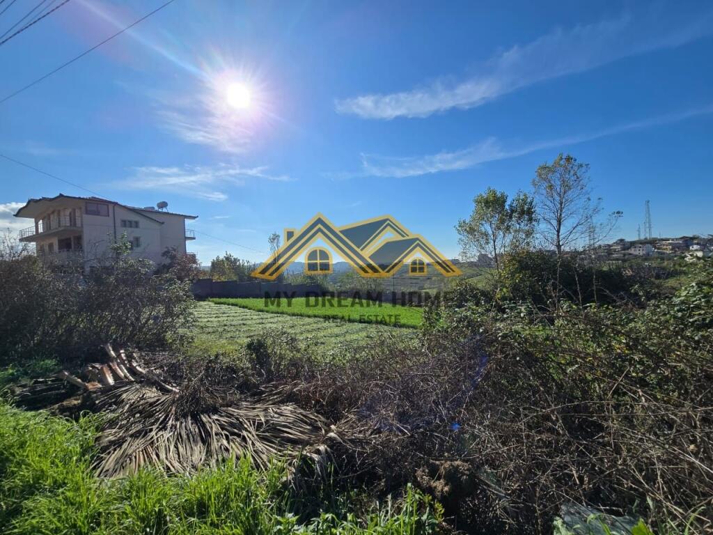 SHITET TOKE NE ARAPAJ DURRES