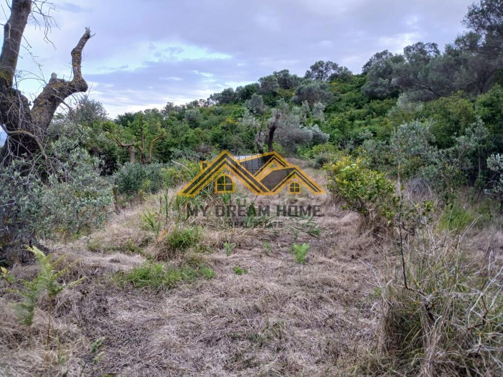 TOKE ME PAMJE DETI NE KARPEN KAVAJE, PER SHITJE !